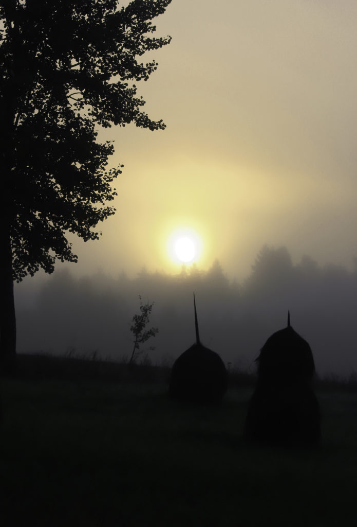 Valokuvaaja: Satu Mali