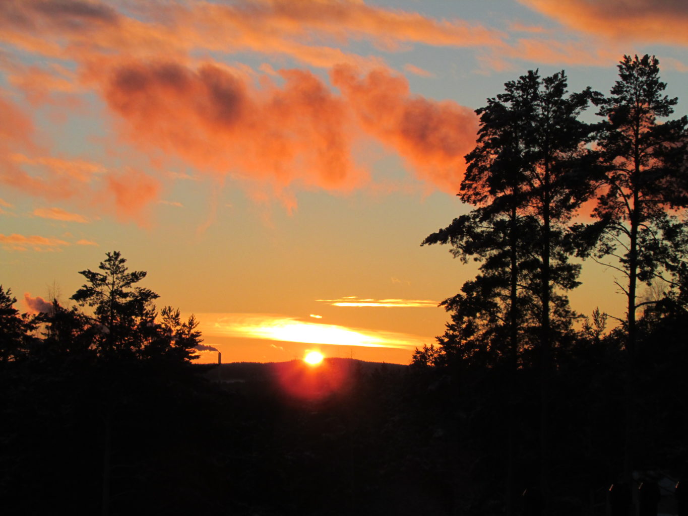 Valokuvaaja: Jari Koljonen
