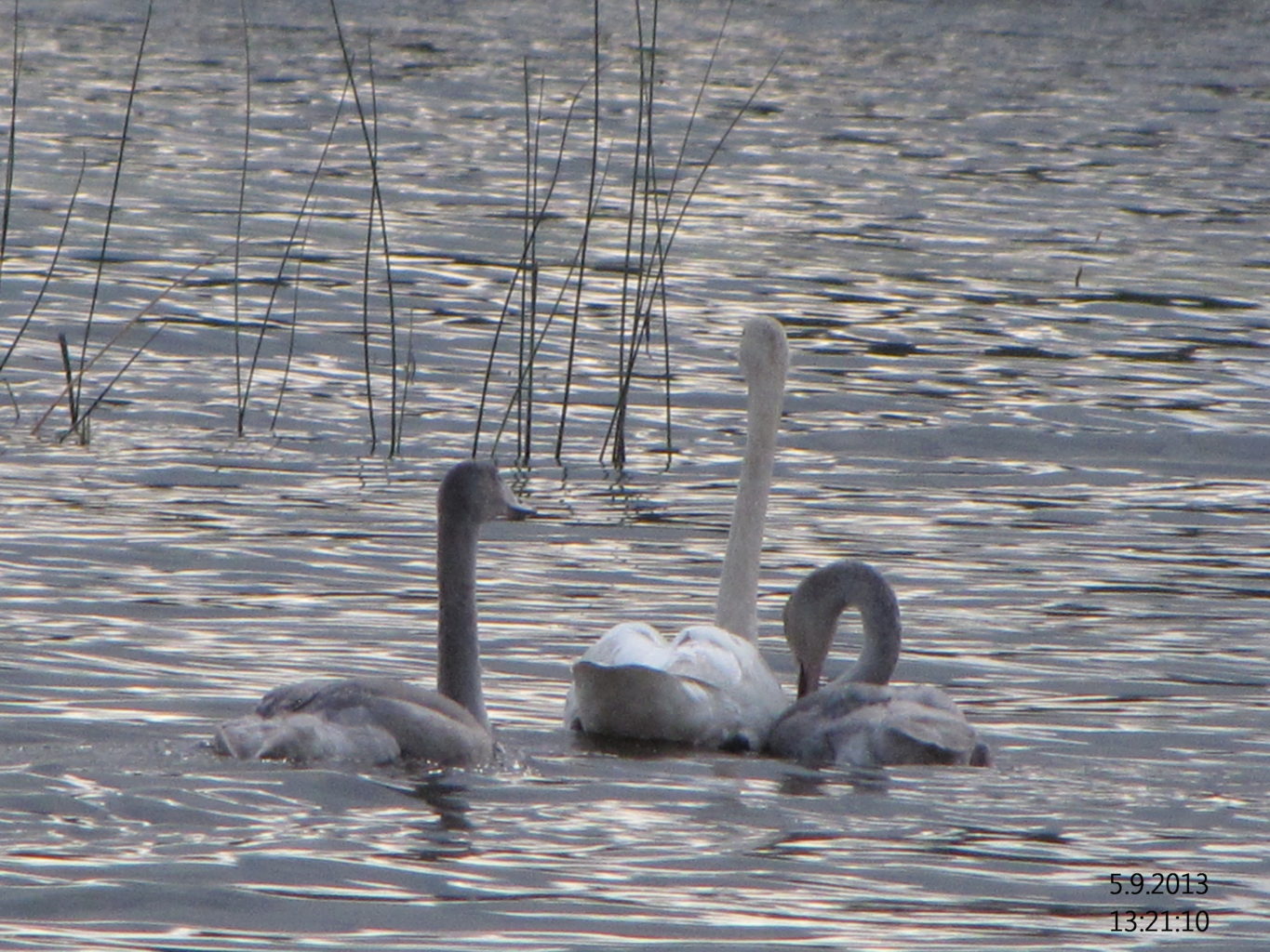 Valokuvaaja: Tuula Makkonen