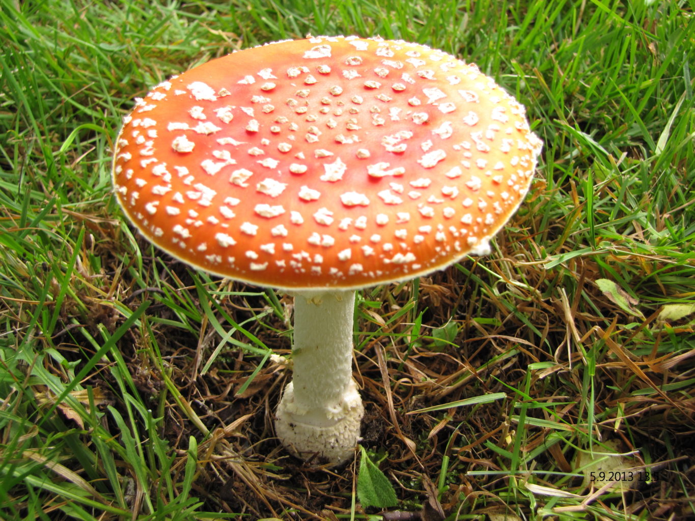 Valokuvaaja: Tuula Makkonen