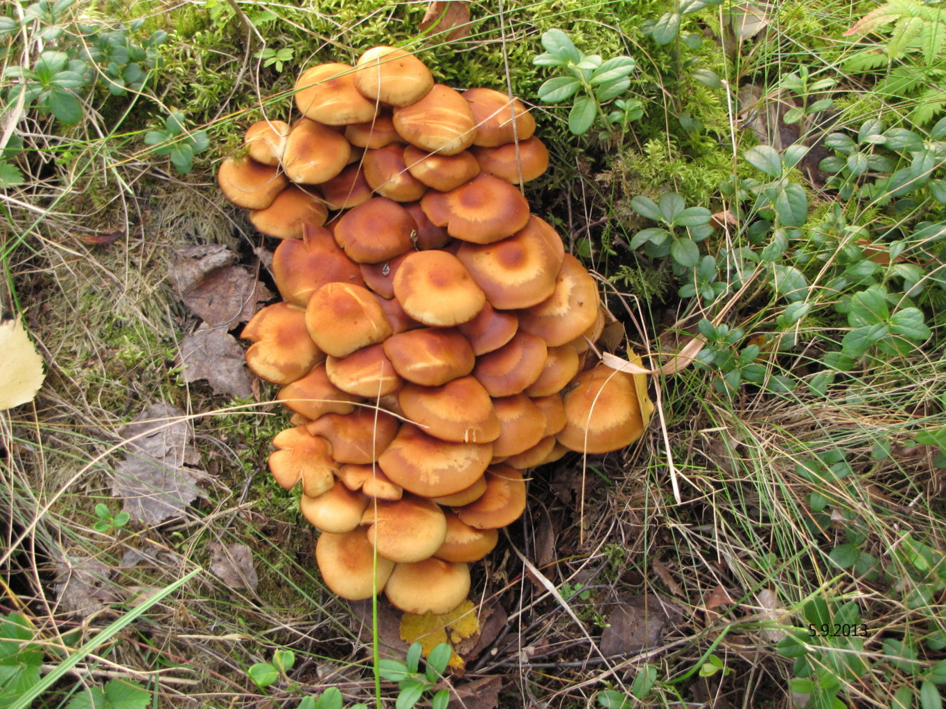 Valokuvaaja: Tuula Makkonen Valokuvaaja: Tuula Makkonen