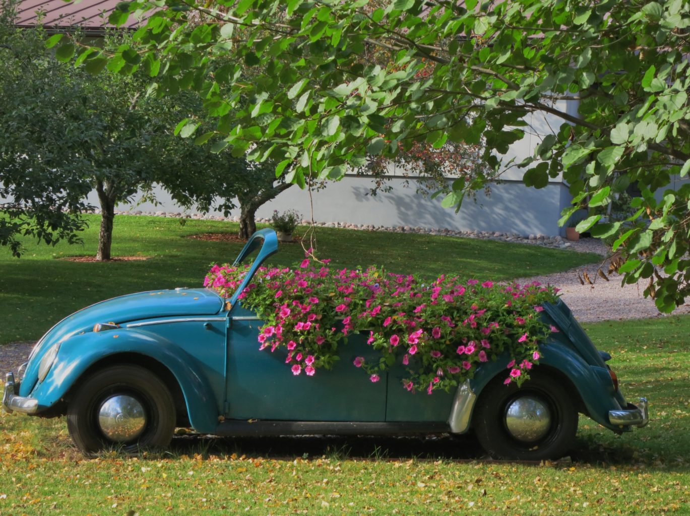 Valokuvaaja: Satu Vaarula