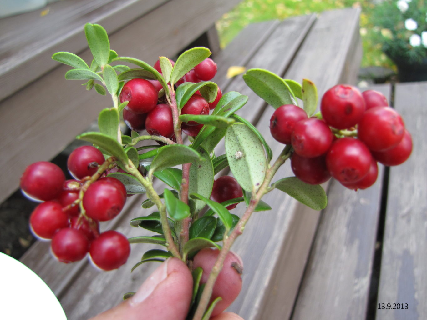 Valokuvaaja: Tuula Makkonen