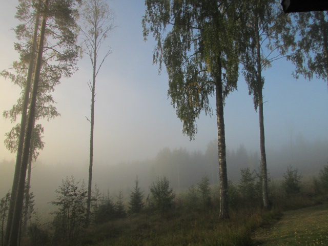 Valokuvaaja: Jari Koljonen