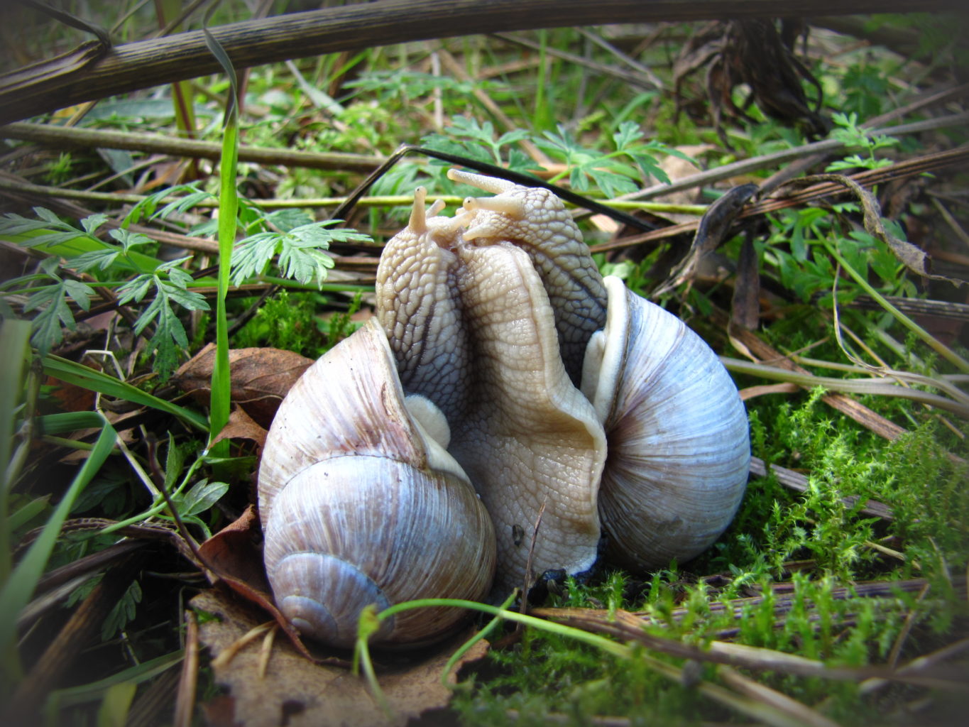 Valokuvaaja: Esko Nupponen Valokuvaaja: Esko Nupponen