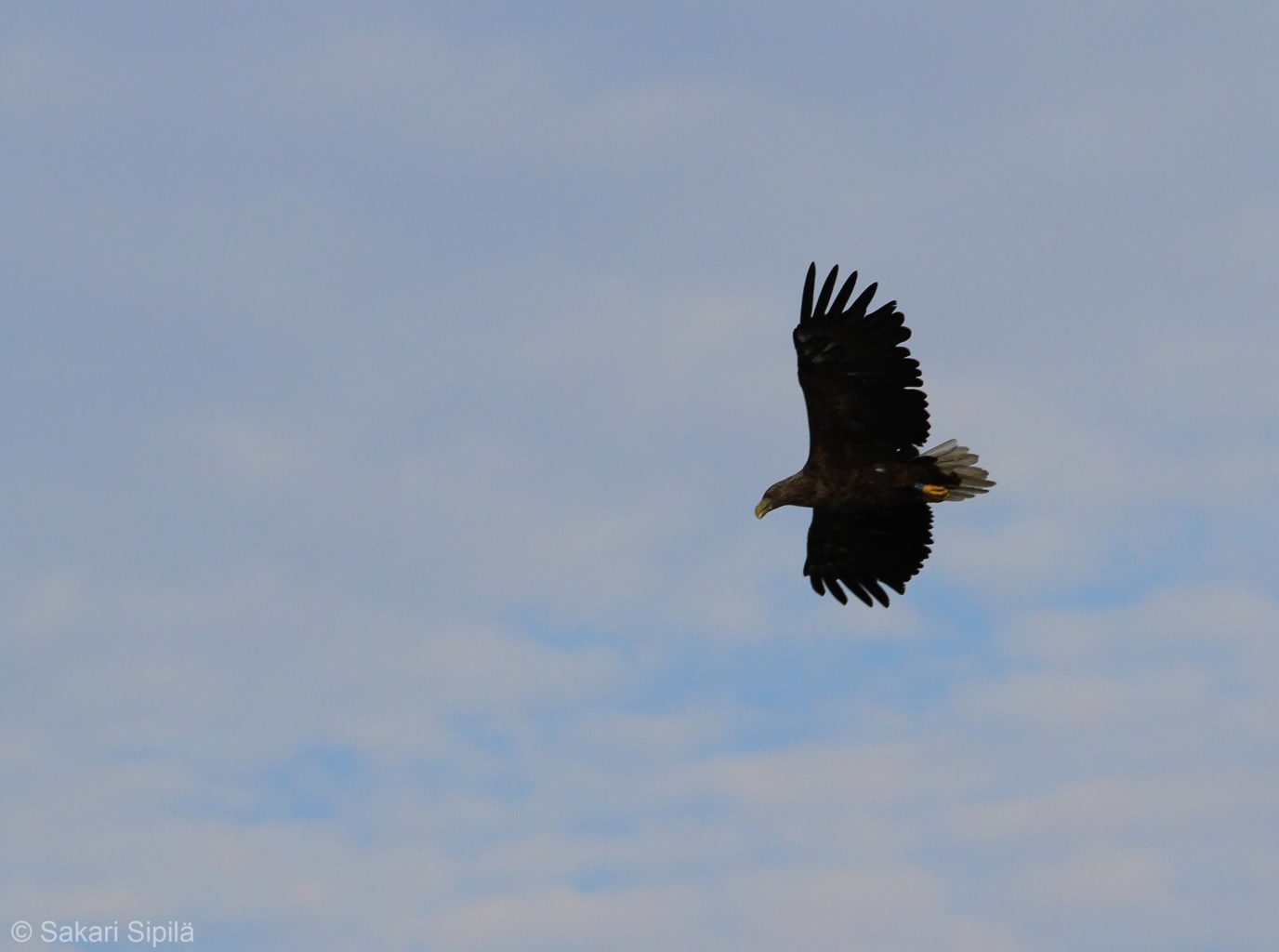 Valokuvaaja: Sakari Sipilä