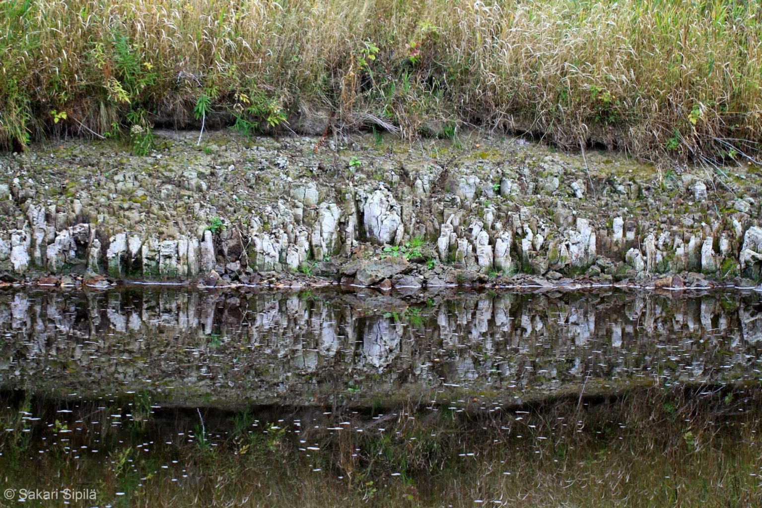 Valokuvaaja: Sakari Sipilä