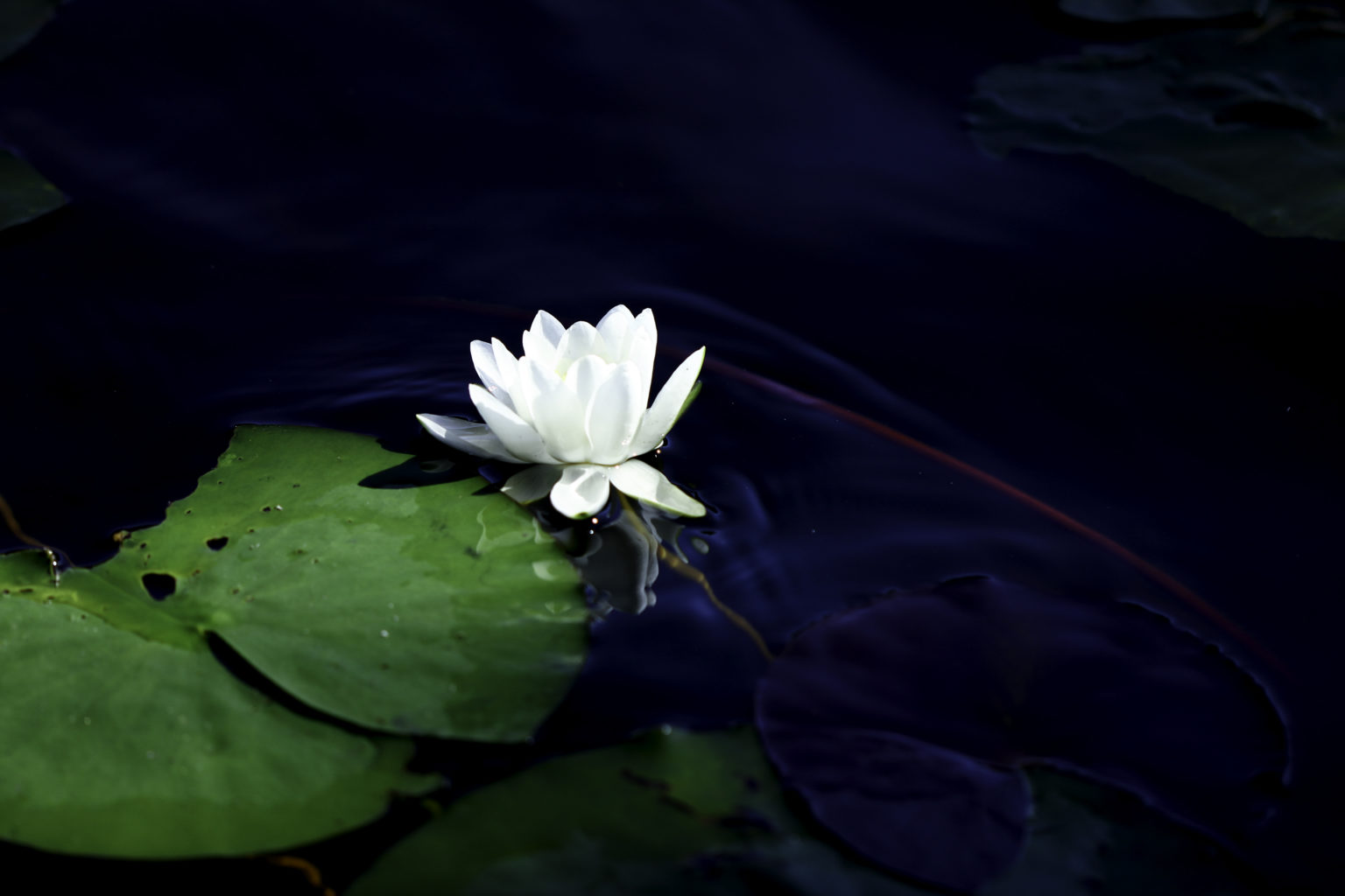 Valokuvaaja: Satu Mali Valokuvaaja: Satu Mali