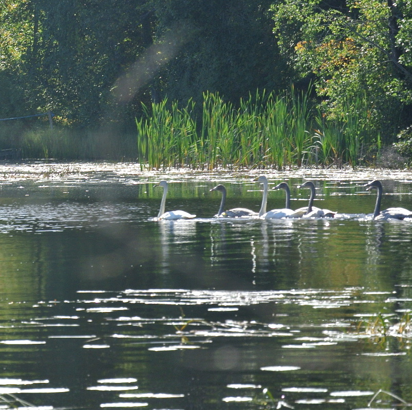 Valokuvaaja: Anita Ojanen Valokuvaaja: Anita Ojanen