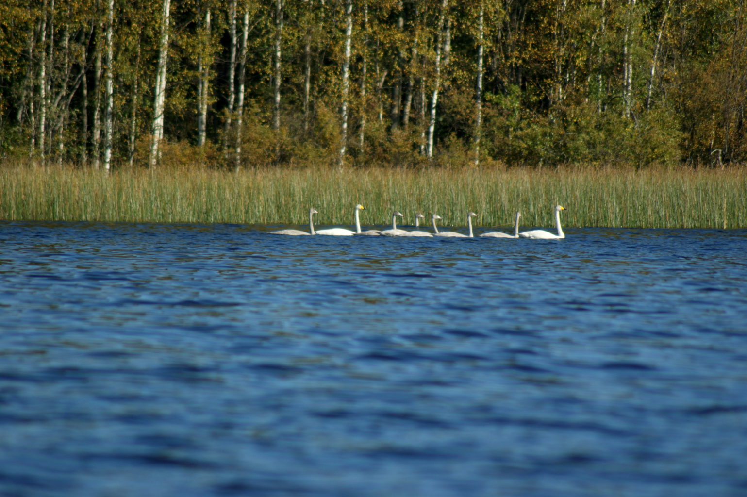 Valokuvaaja: Toni Asikainen