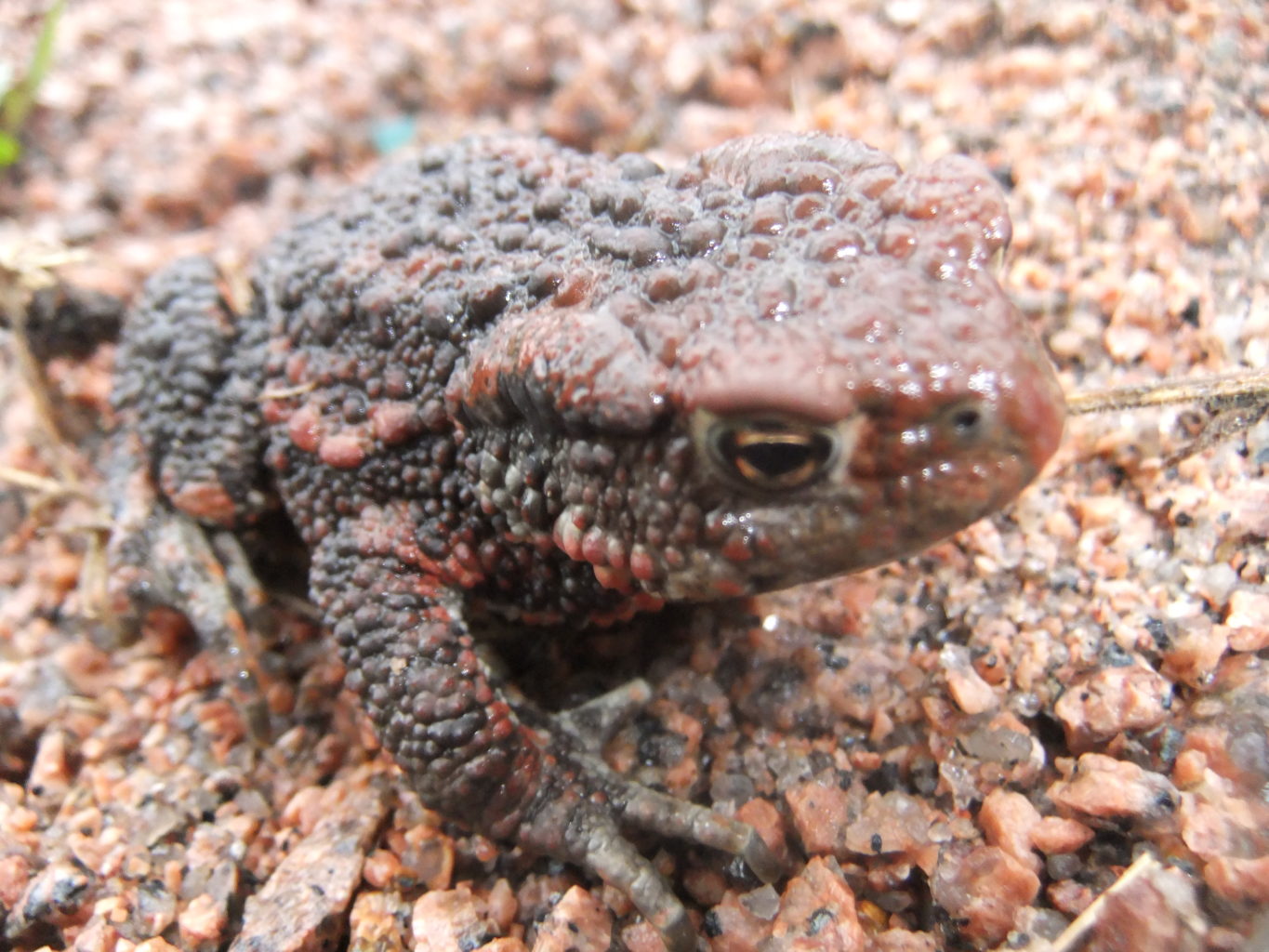 Valokuvaaja: Fanny Koskela