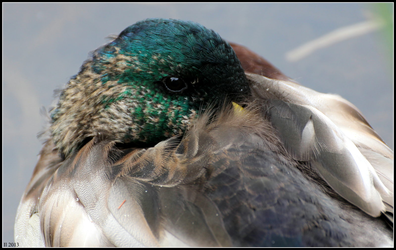 Valokuvaaja: Irja Lehtinen