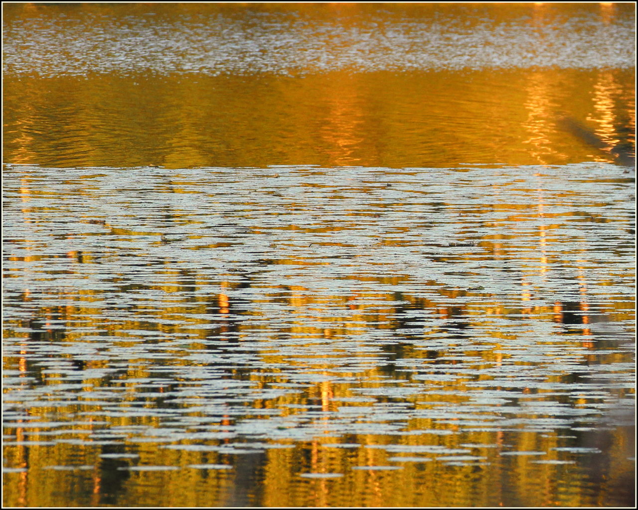 Valokuvaaja: Irja Lehtinen
