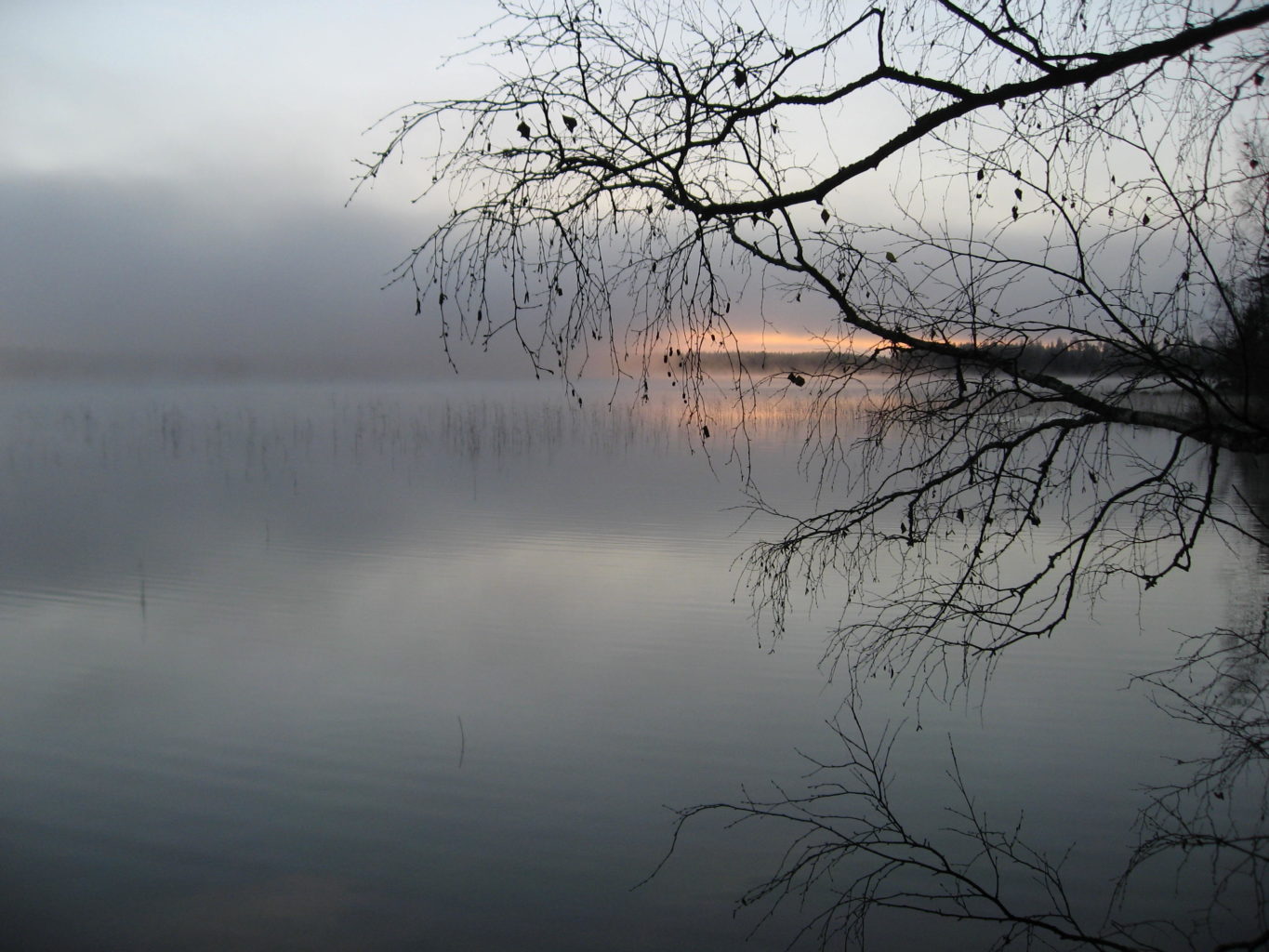 Valokuvaaja: Leena Sahlgren