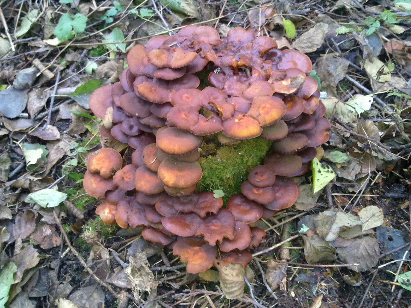 Valokuvaaja: Sirpa Jaakkola