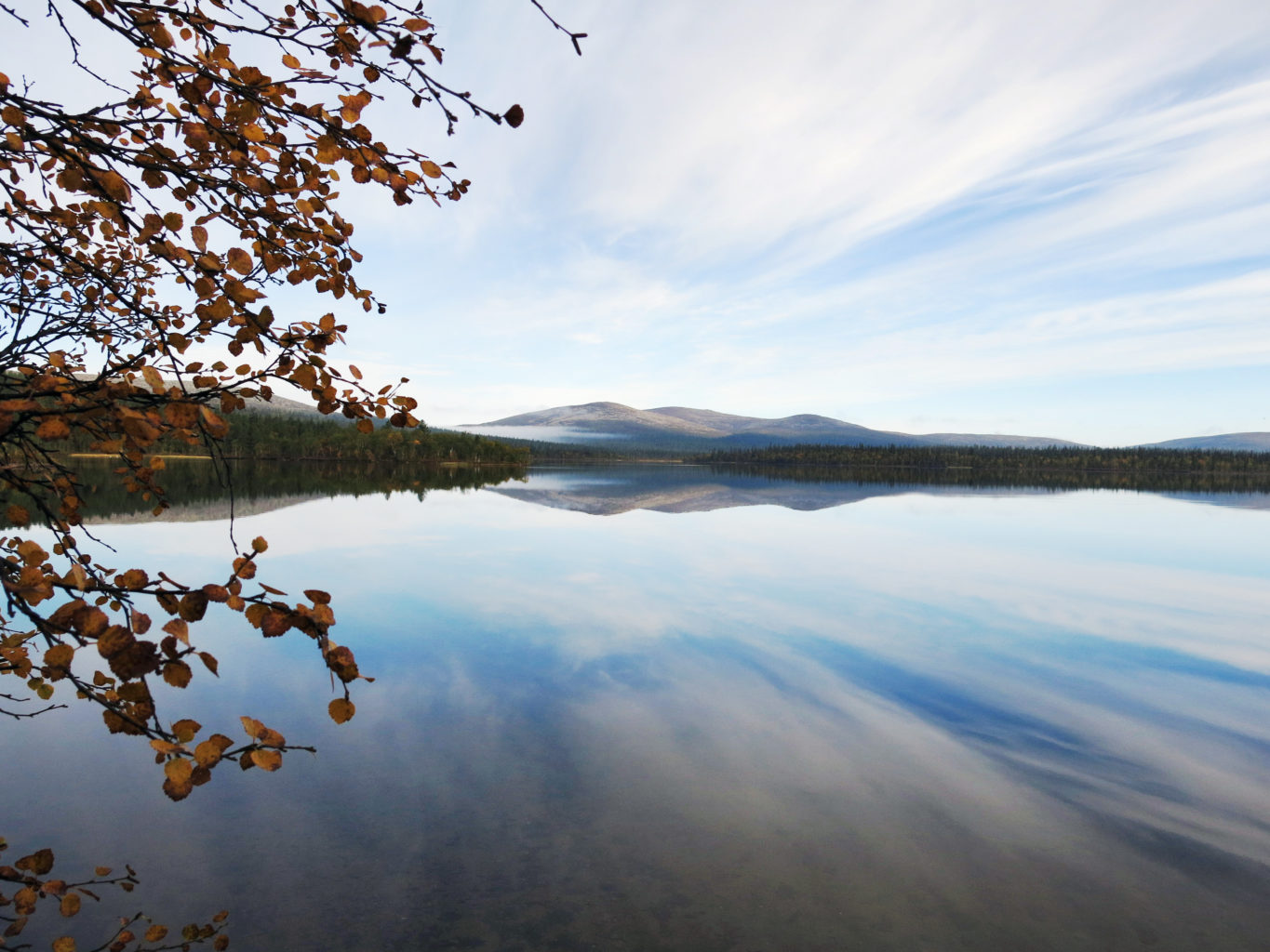 Valokuvaaja: Linda Talve