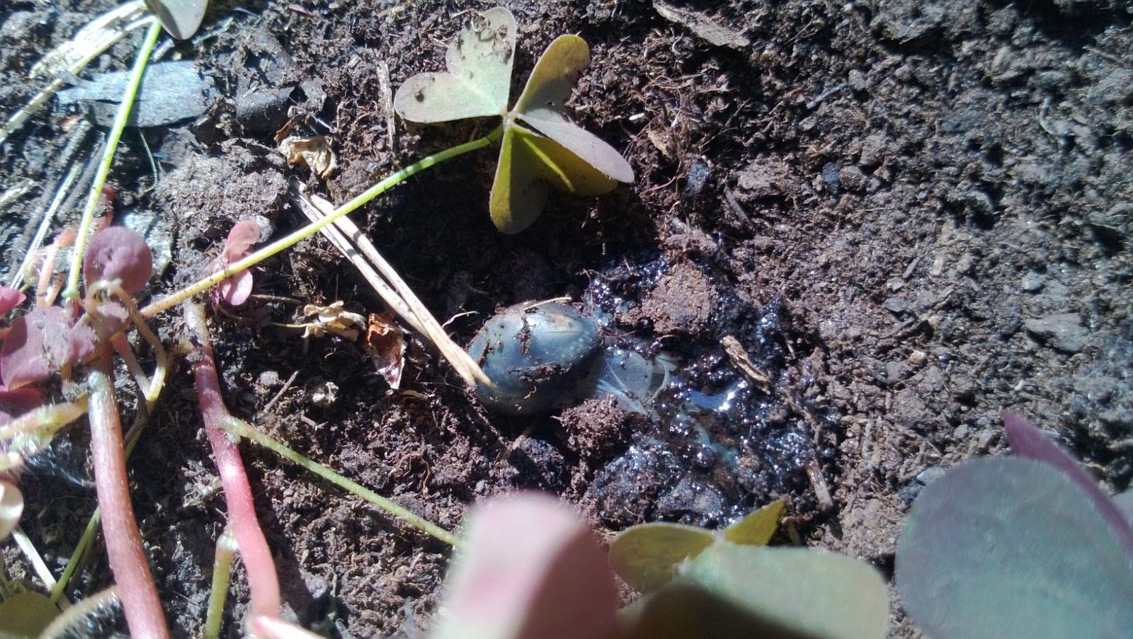 Valokuvaaja: Kalle Vainio