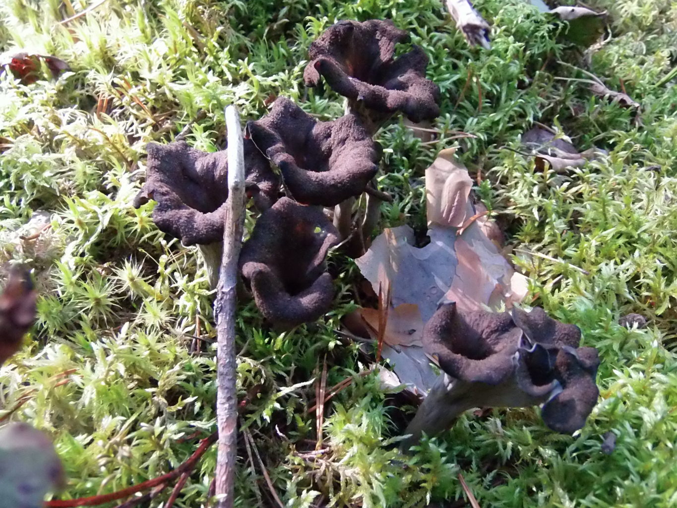 Valokuvaaja: Annika Kumlin