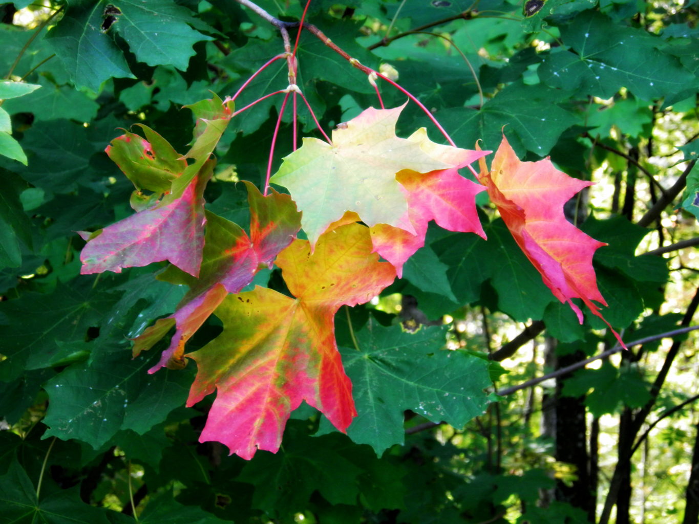 Valokuvaaja: Tiina Alkila Valokuvaaja: Tiina Alkila