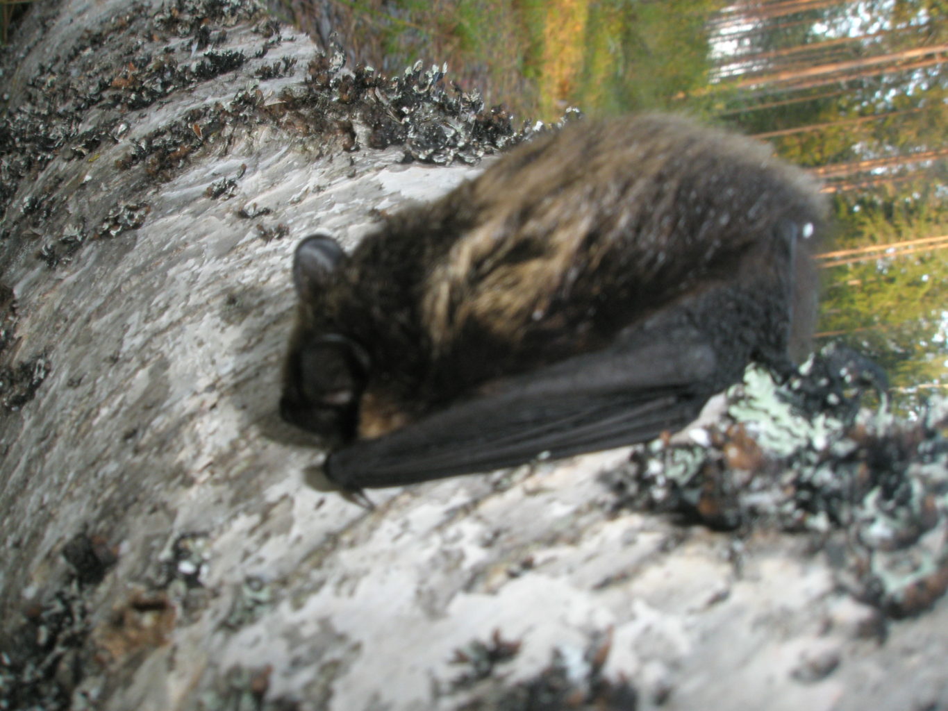 Valokuvaaja: Tuula Heikkinen