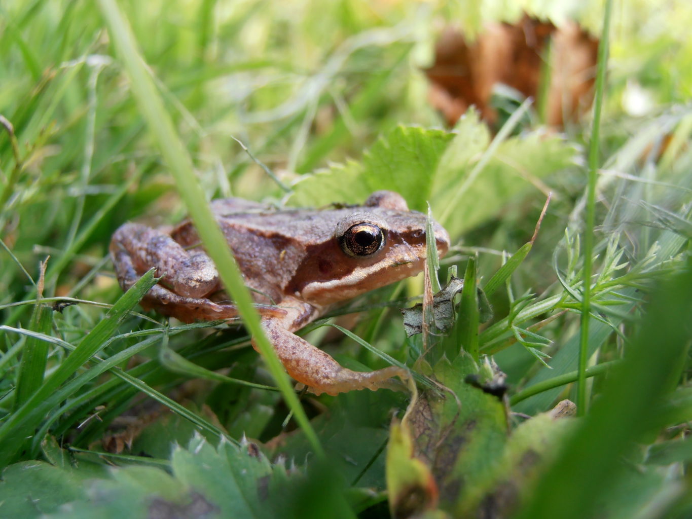 Valokuvaaja: Toni Asikainen
