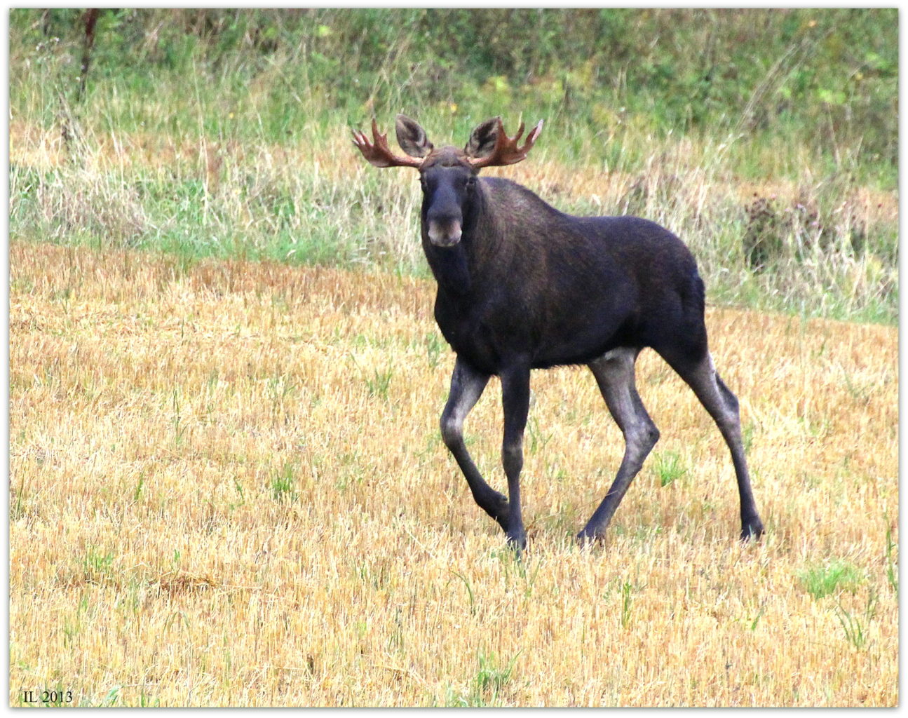 Valokuvaaja: Irja Lehtinen