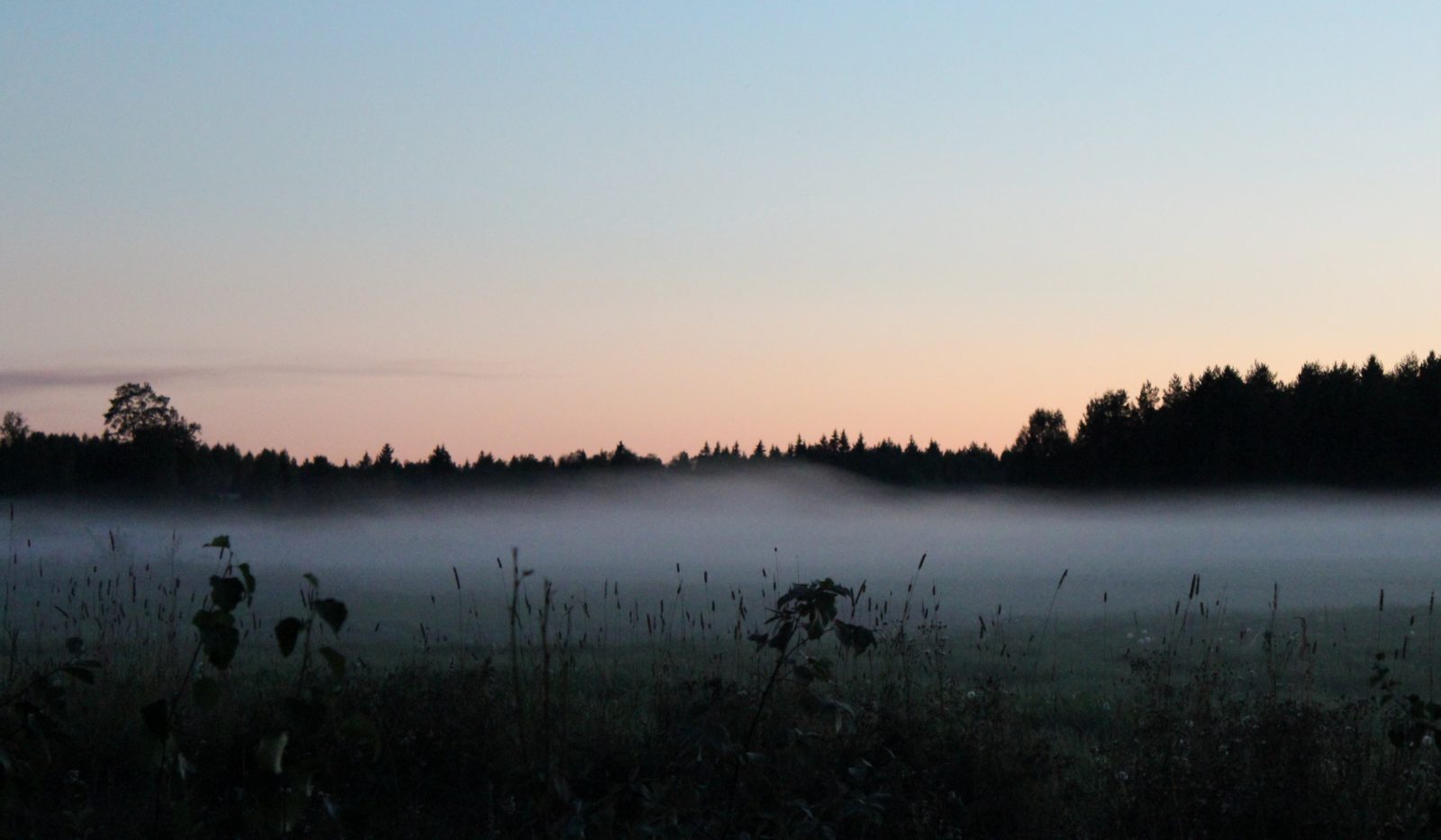 Valokuvaaja: Pirjo Hokkanen