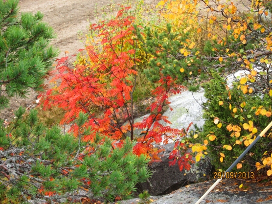 Valokuvaaja: Tuula Makkonem