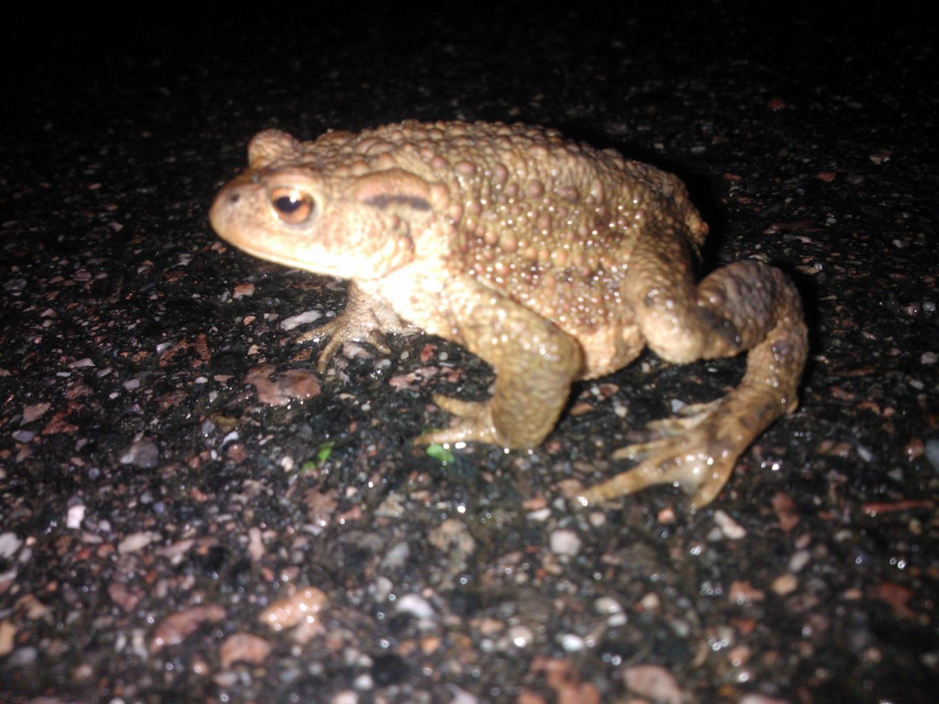 Valokuvaaja: Leena Sarell-Kankaanpää