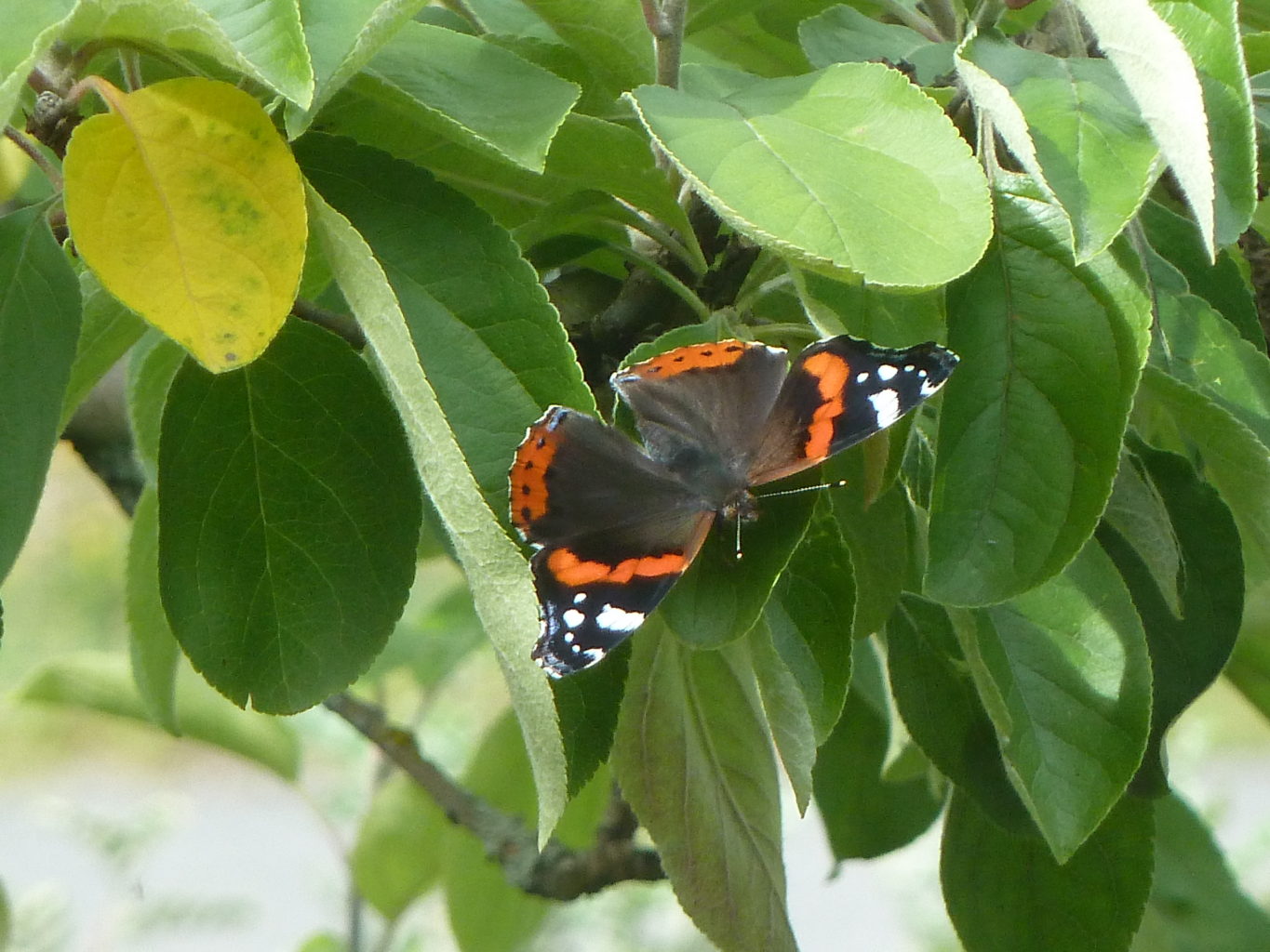 Valokuvaaja: Riitta Palkki