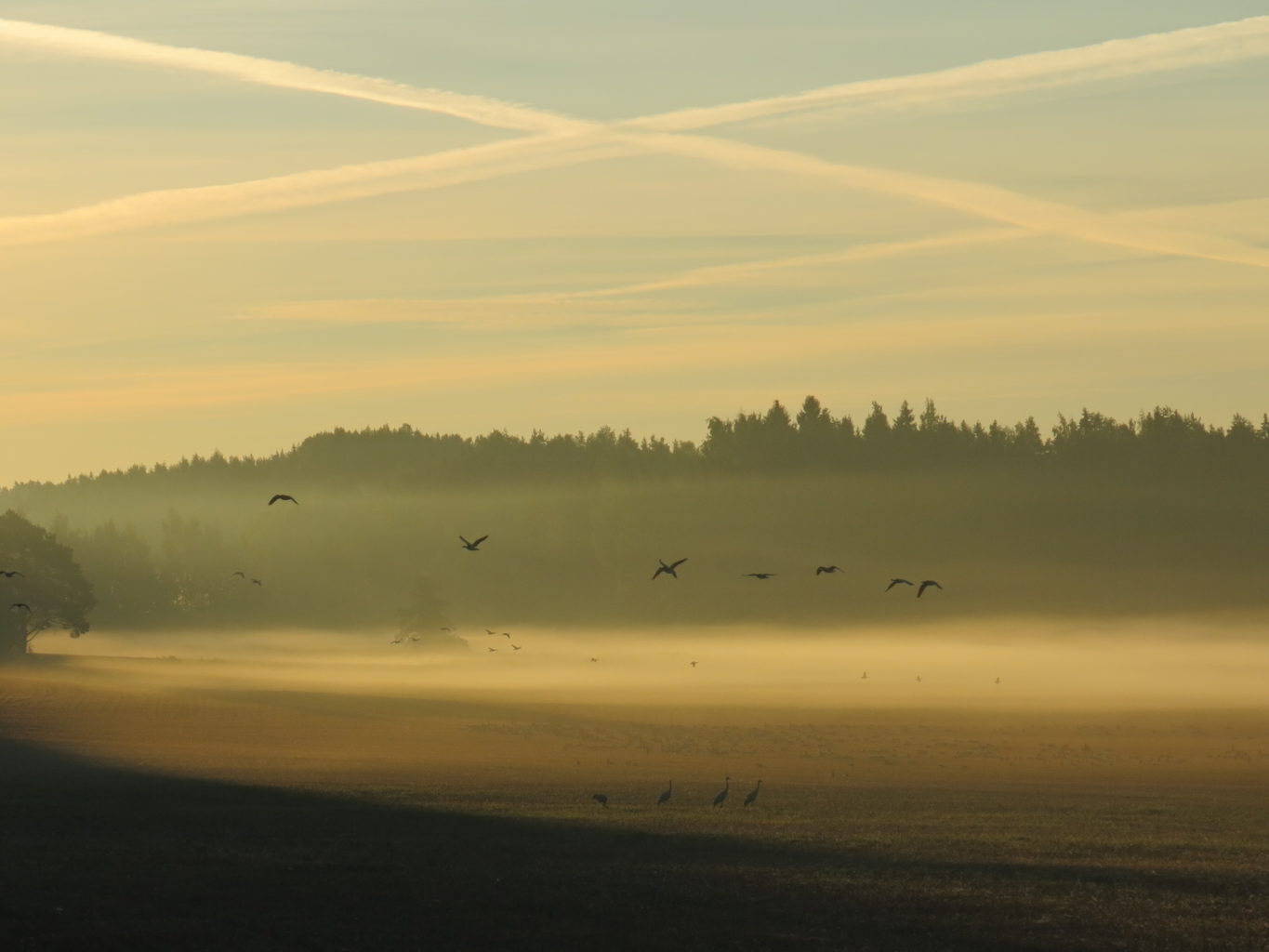 Valokuvaaja: Timo Savolainen