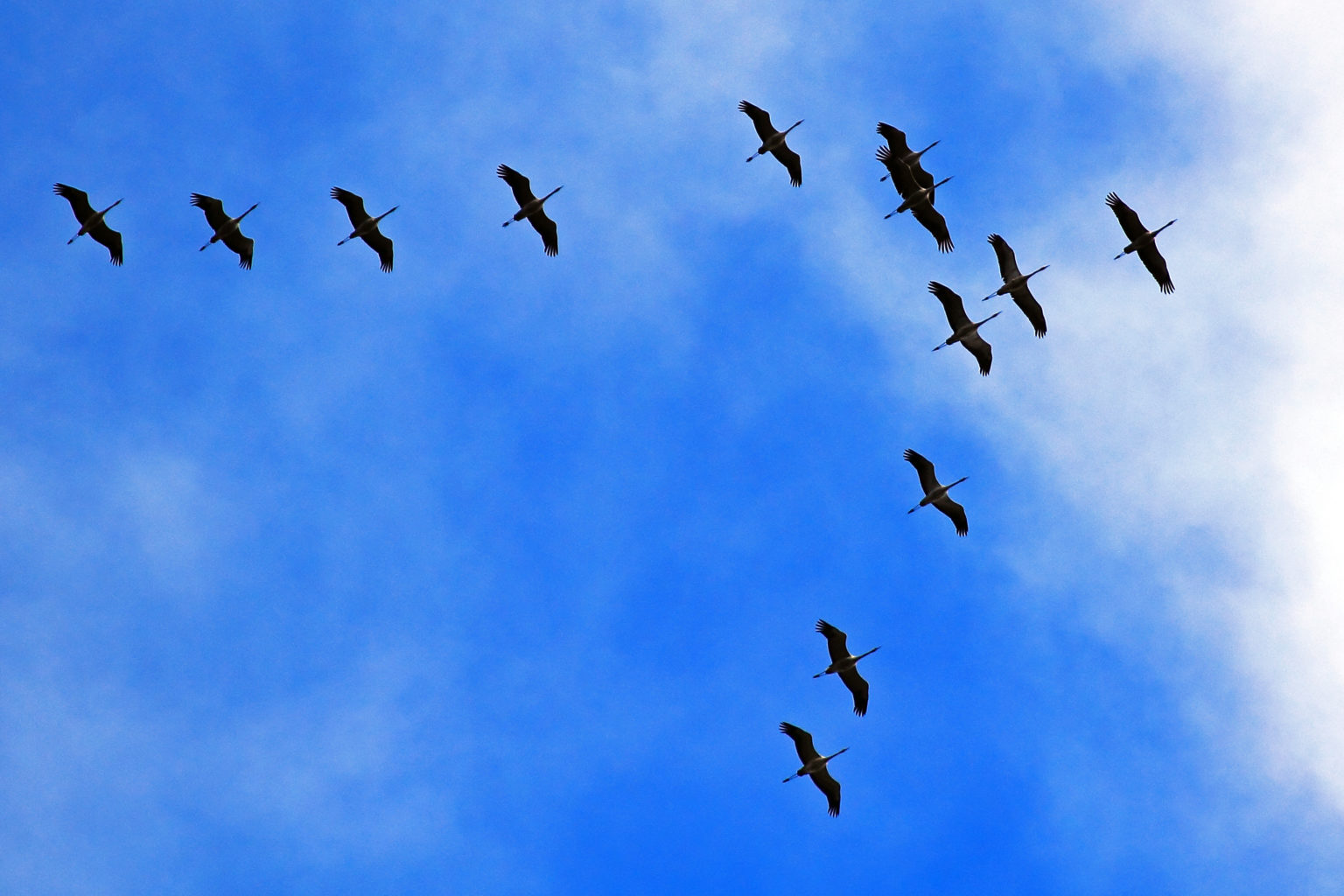 Valokuvaaja: Eija Tienhaara