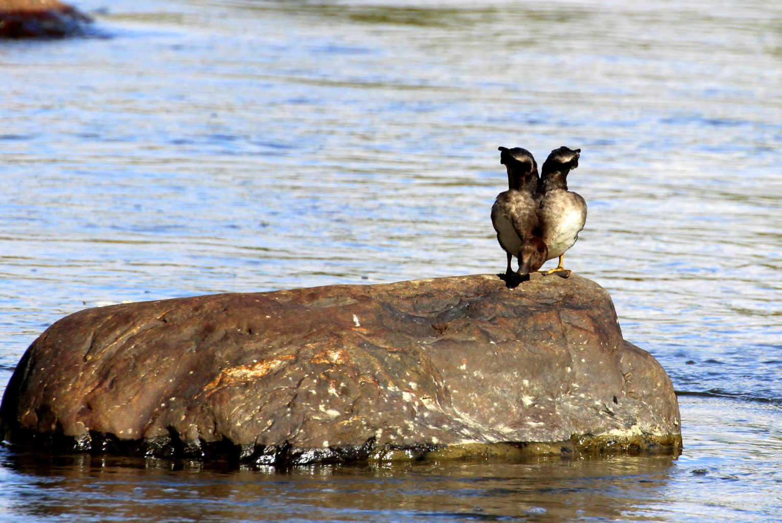 Valokuvaaja: Irja Lehtinen