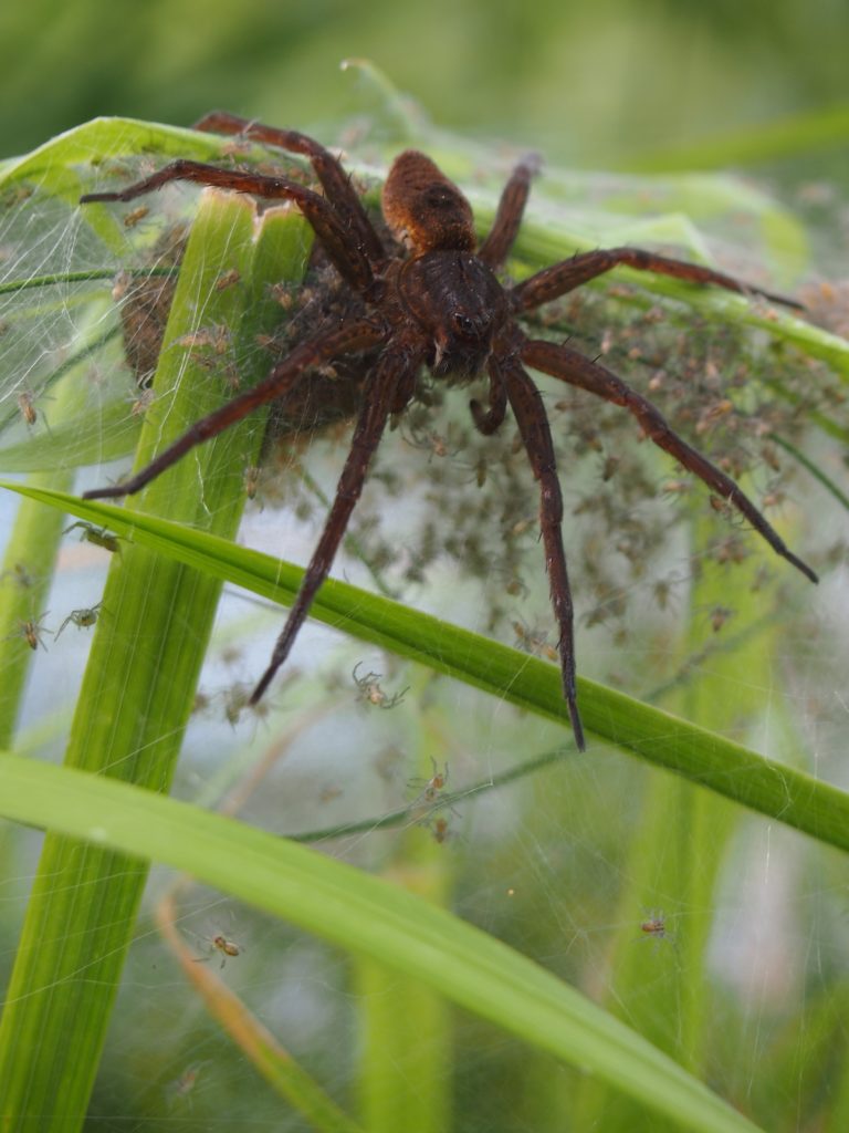 Valokuvaaja: Kalle Vainio