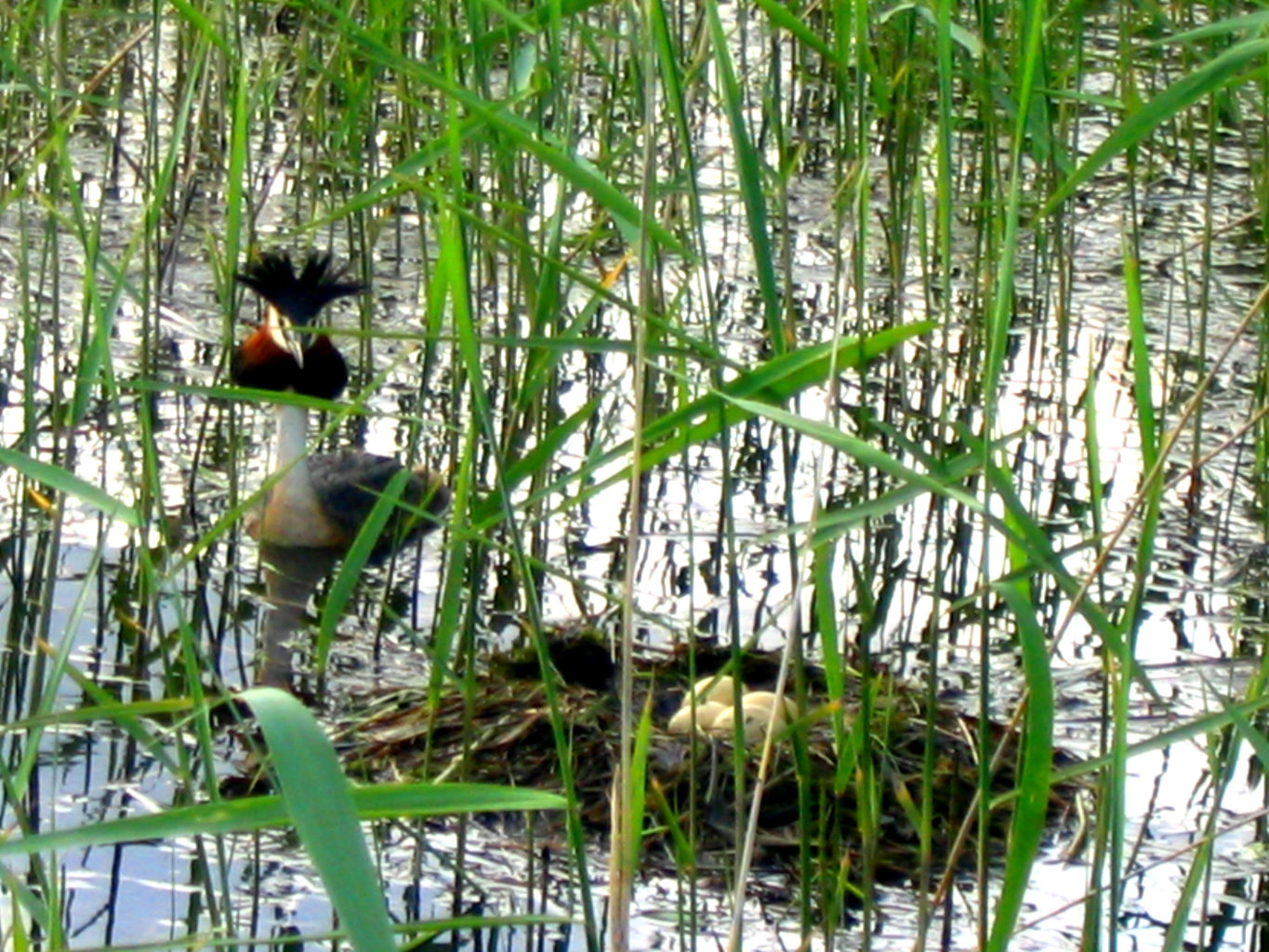 Valokuvaaja: Arja Putkonen
