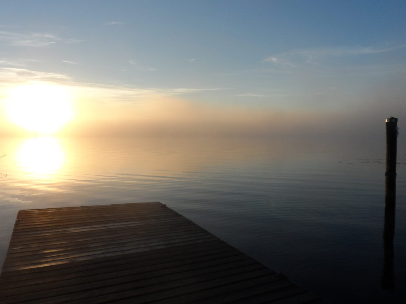 Valokuvaaja: Päivi Niskanen