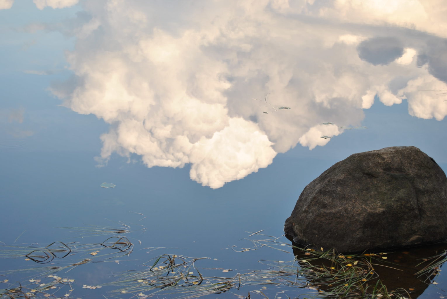 Valokuvaaja: Tuula Jaatinen