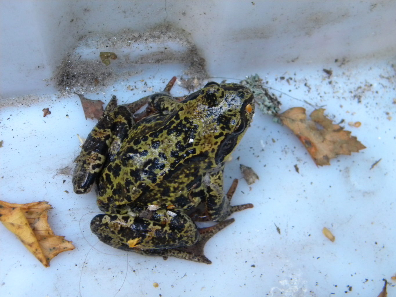 Valokuvaaja: Vesa Virtanen