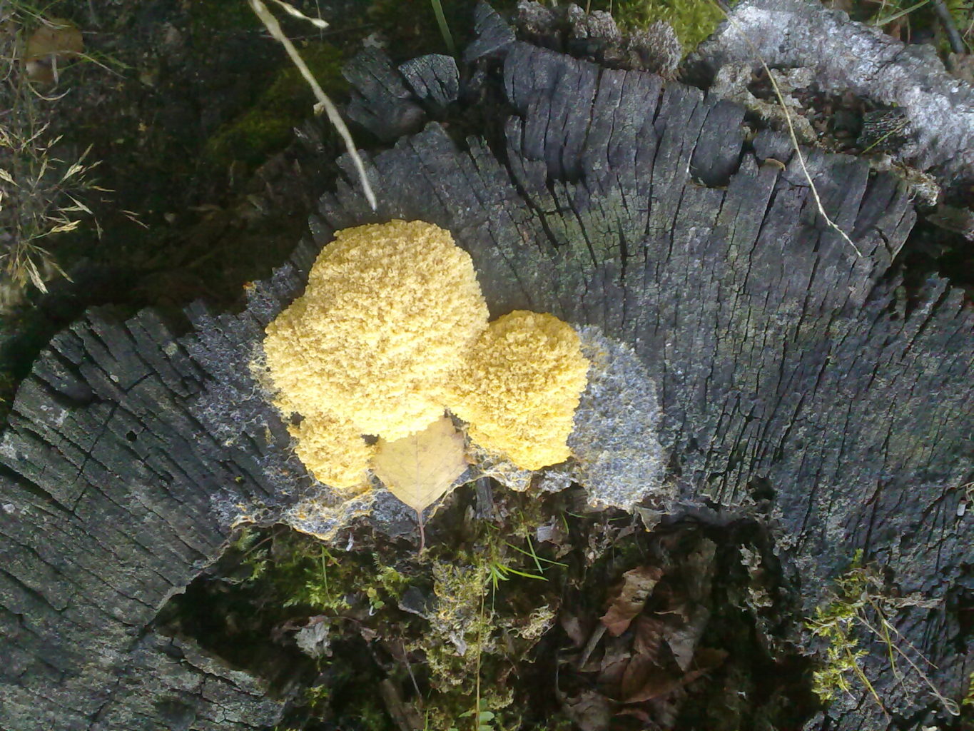 Valokuvaaja: Irene Paavilainen Valokuvaaja: Irene Paavilainen