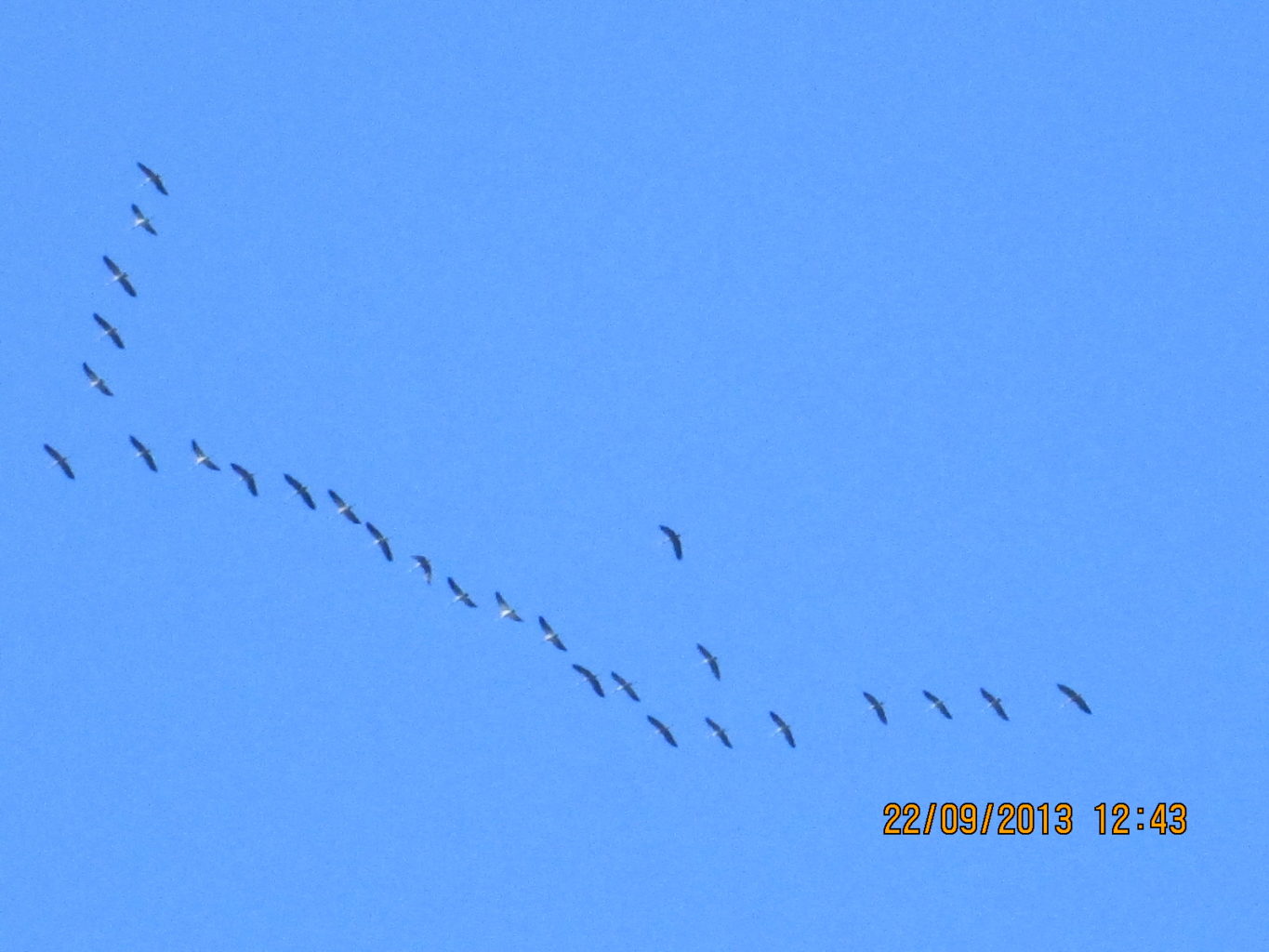 Valokuvaaja: Samu Kähtävä