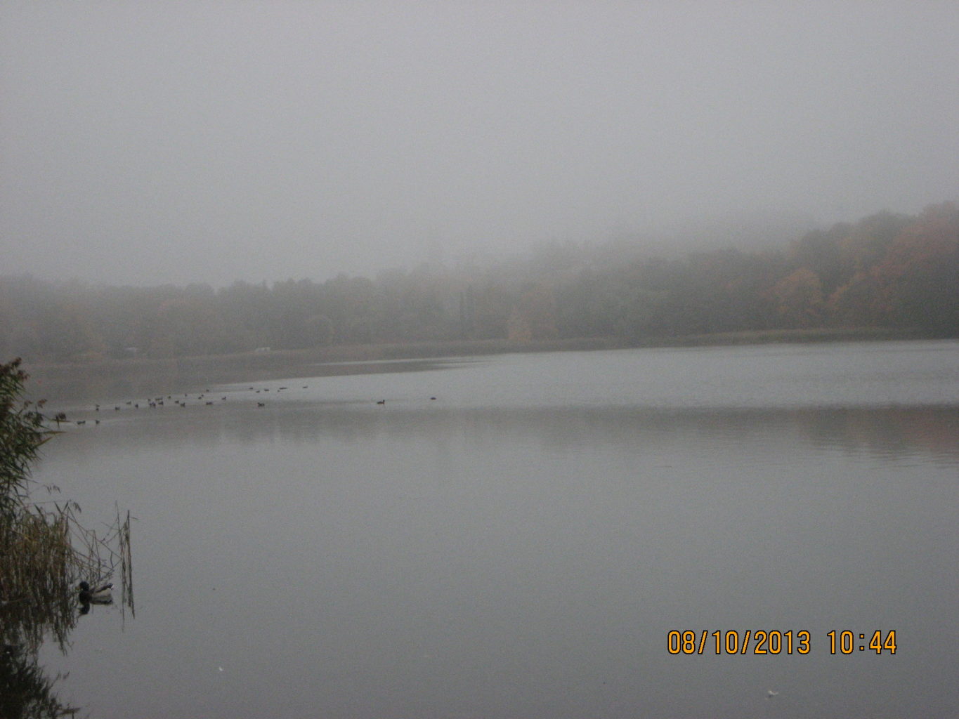 Valokuvaaja: Tarja Havastila