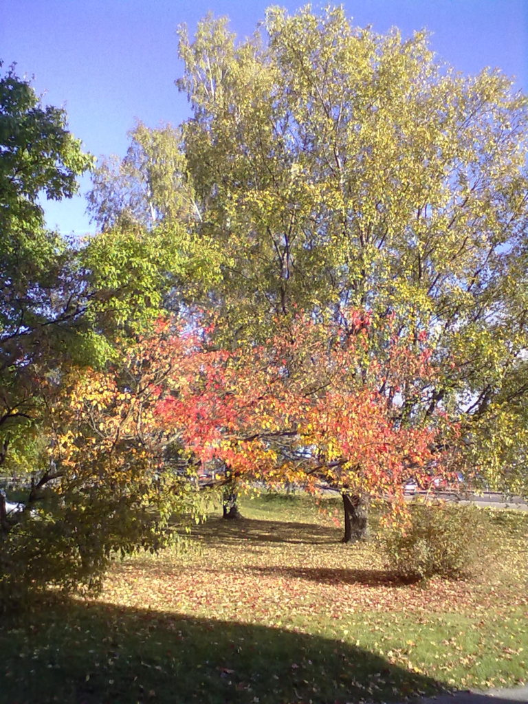 Valokuvaaja: Tiina-Maija Tammisto