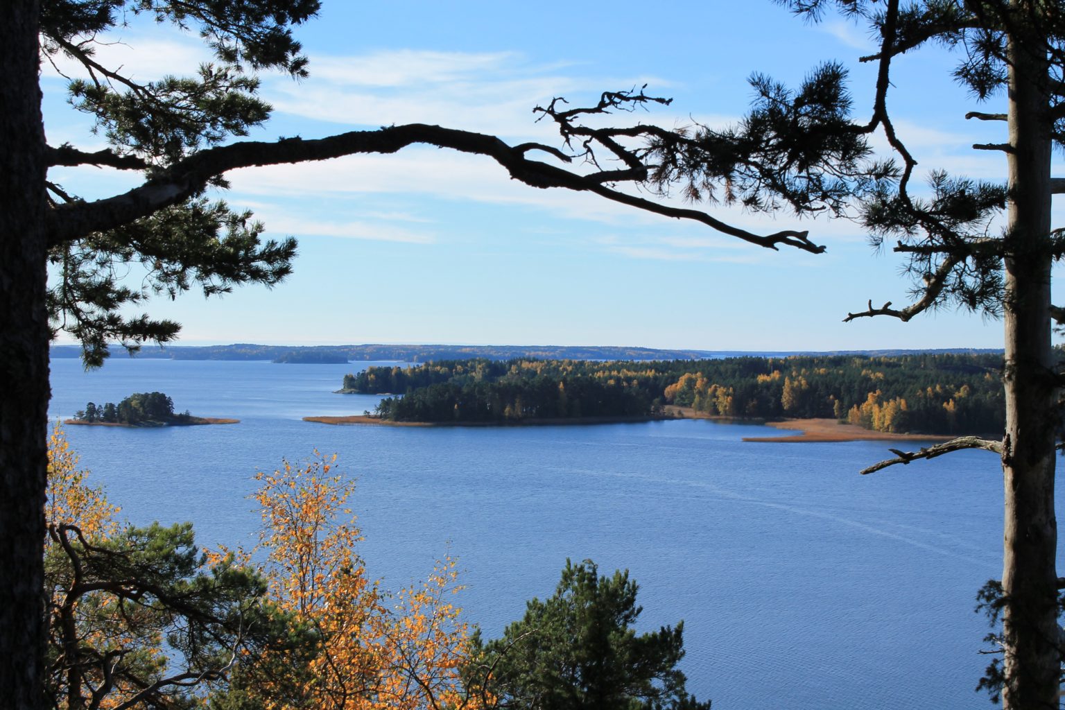 Valokuvaaja: Markku Koskinen
