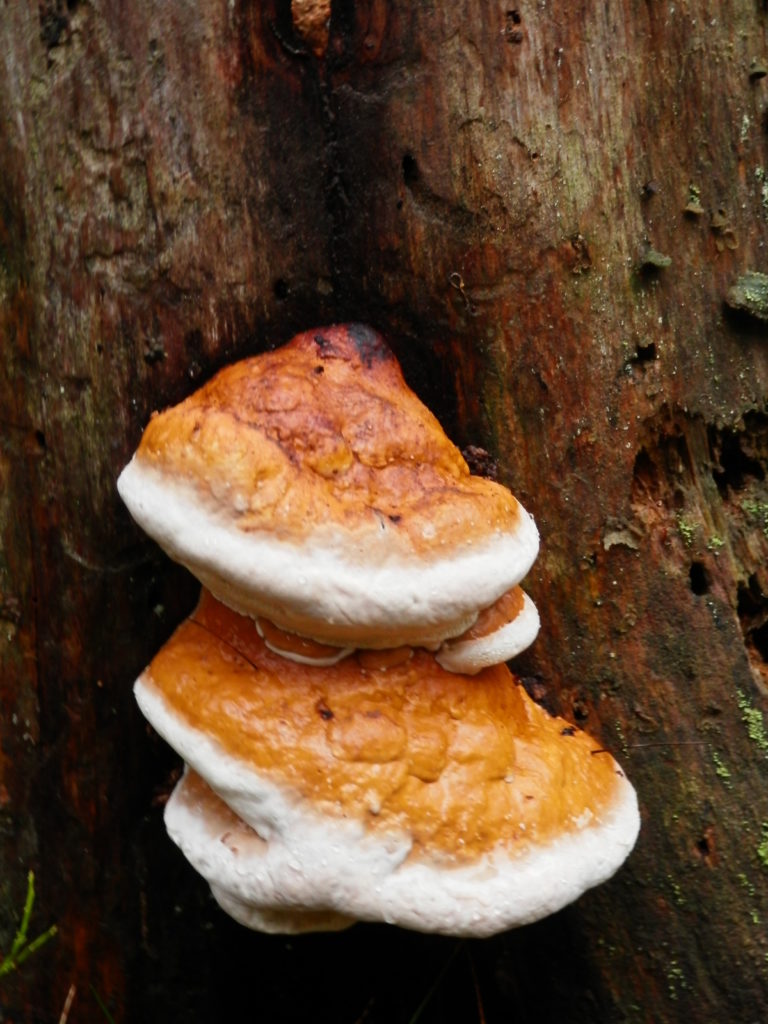 Valokuvaaja: anu keskitalo