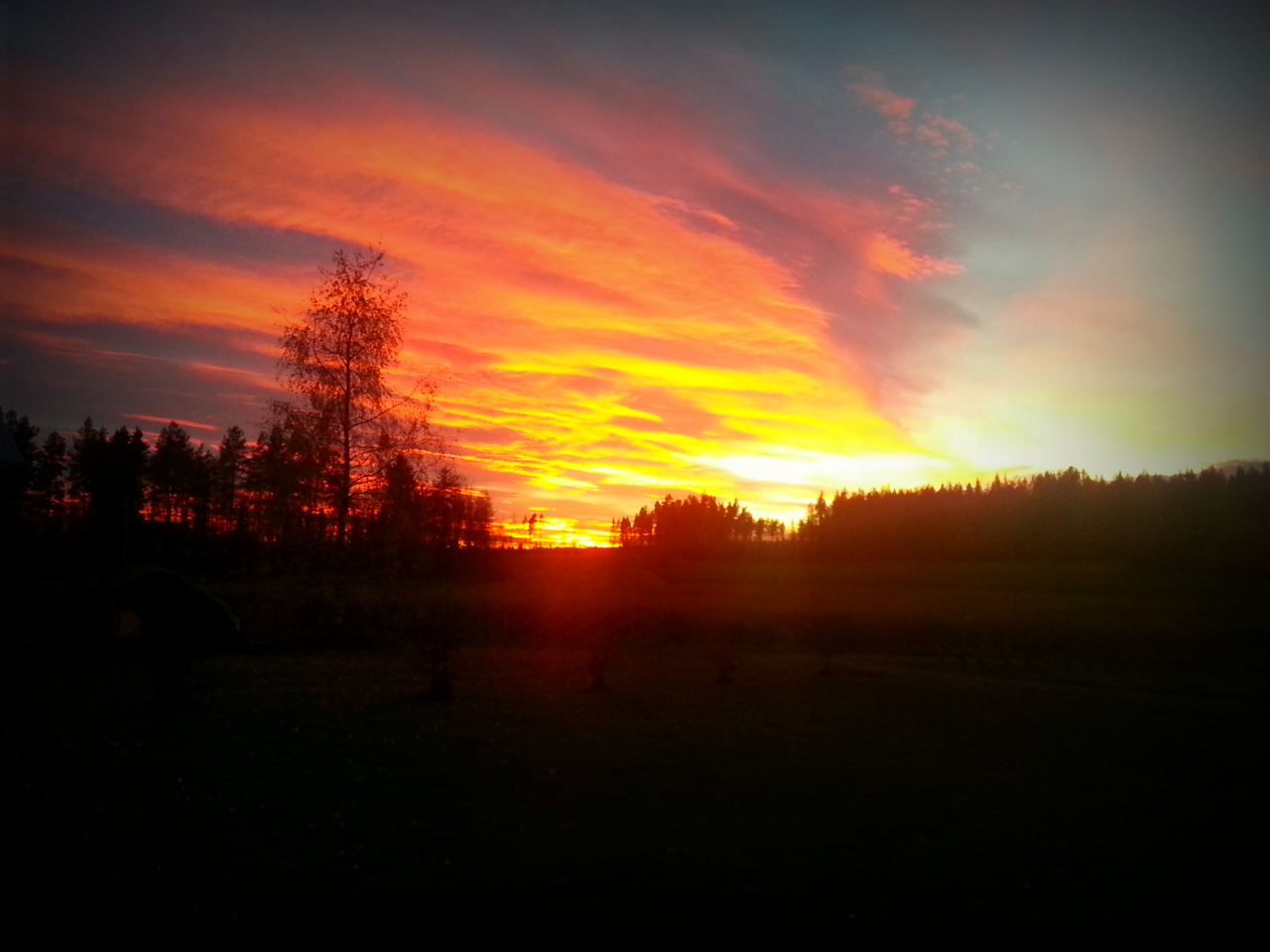 Valokuvaaja: Sanna Moilanen