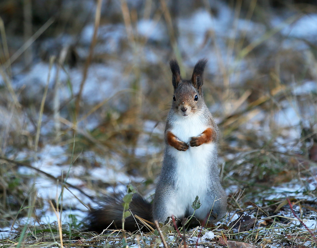 Valokuvaaja: Irma Kortekallio