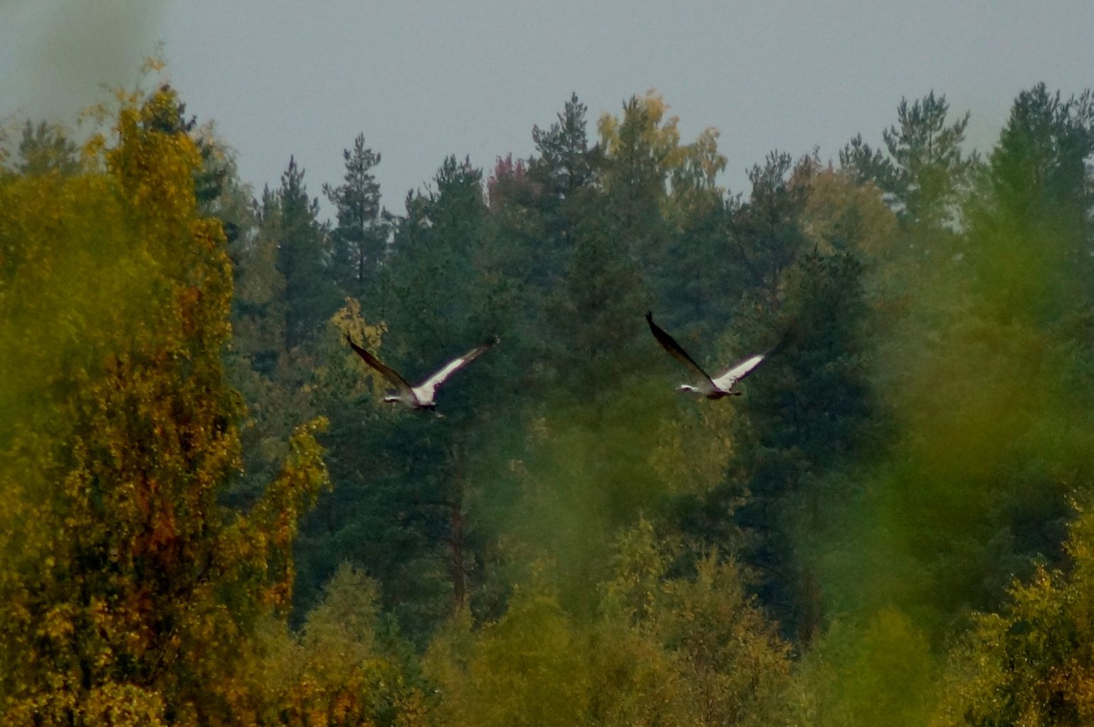 Valokuvaaja: Maarit Siitonen