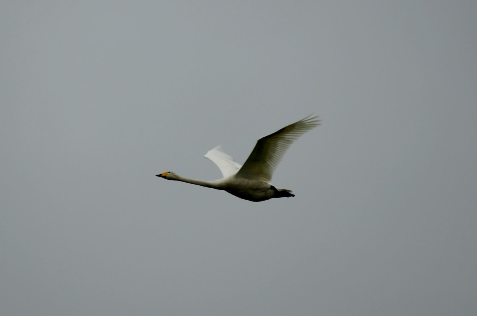 Valokuvaaja: Maarit Siitonen