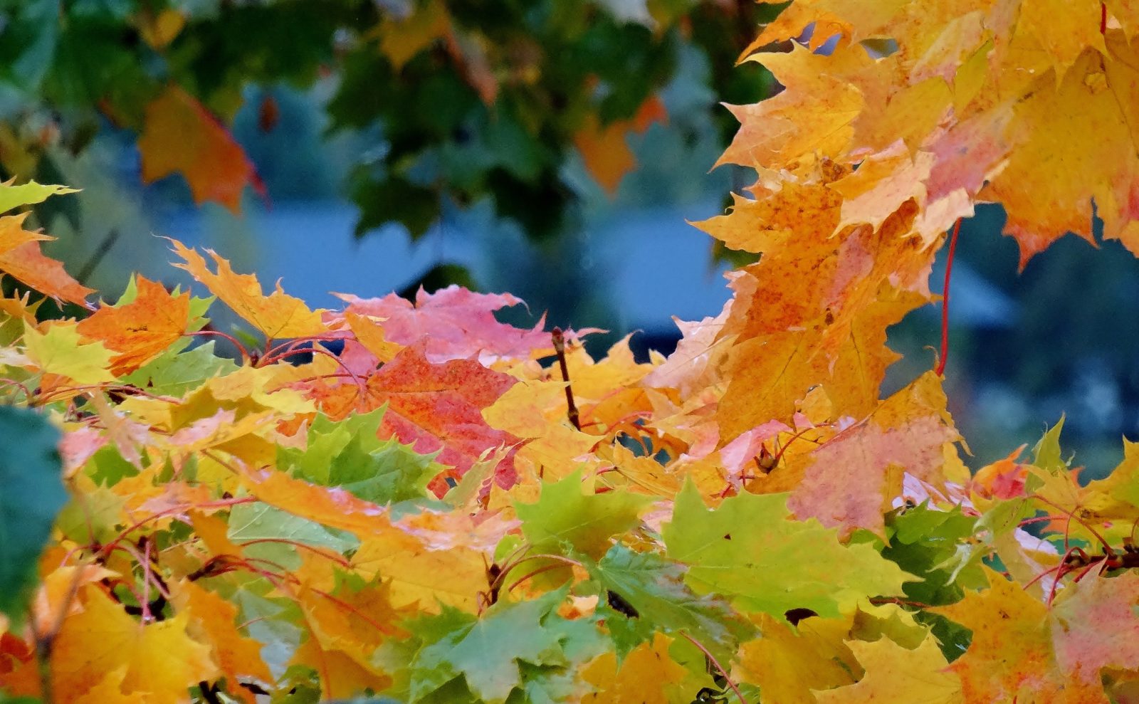 Valokuvaaja: Tuulikki Piikkilä