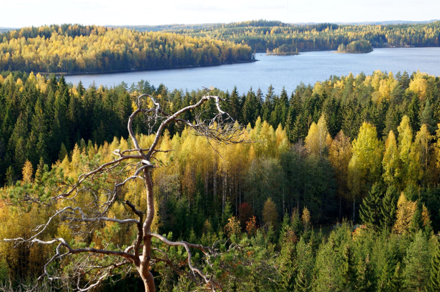 Valokuvaaja: Maarit Siitonen